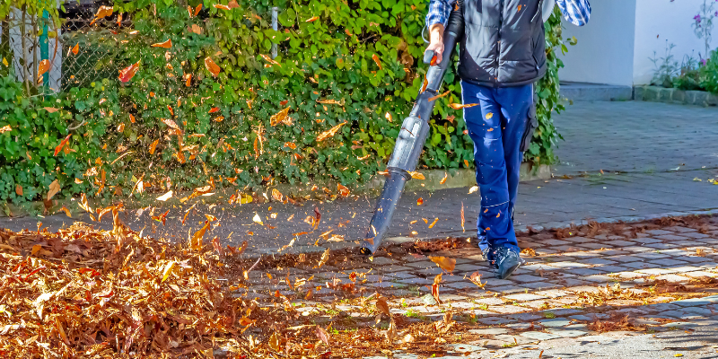 Image of a white masculine individual in work clothes blowing autumn leaves off of the street. There is a green hedge in the background and the sun is shining. 